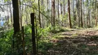 Foto 14 de Fazenda/Sítio à venda, 448000m² em Pedra Branca, Alfredo Wagner