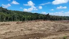 Foto 5 de Fazenda/Sítio à venda, 196000m² em Centro, Campo do Tenente