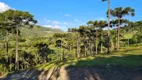 Foto 8 de Fazenda/Sítio à venda, 20000m² em Santa Tereza, Urubici