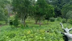 Foto 40 de Fazenda/Sítio com 3 Quartos à venda, 1020000m² em Zona Rural, Padre Bernardo