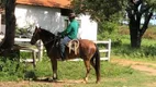 Foto 8 de Fazenda/Sítio à venda em Zona Rural, Jaíba