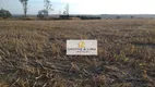 Foto 5 de Fazenda/Sítio com 15 Quartos à venda, 200m² em , Formoso do Araguaia