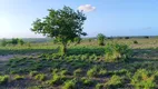 Foto 10 de Fazenda/Sítio com 4 Quartos à venda, 300m² em , Boa Saúde