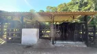 Foto 5 de Fazenda/Sítio com 5 Quartos à venda, 301m² em Imbau, Silva Jardim