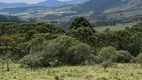 Foto 16 de Fazenda/Sítio à venda, 240000m² em Perico, São Joaquim