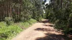 Foto 14 de Fazenda/Sítio à venda, 20000m² em Zona Rural, Caeté