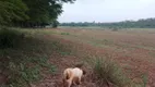 Foto 3 de Fazenda/Sítio à venda em Centro, Cesário Lange