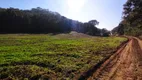 Foto 24 de Fazenda/Sítio à venda, 22000m² em Centro, Campo Magro