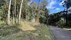 Foto 4 de Lote/Terreno à venda, 663m² em Pinheiro Grosso, Canela