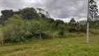 Foto 4 de Lote/Terreno à venda, 10000m² em Norte de Picarras, Balneário Piçarras