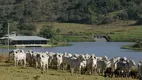 Foto 2 de Fazenda/Sítio com 7 Quartos à venda, 320m² em Zona Rural, Bela Vista de Goiás