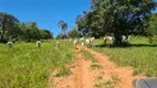 Foto 14 de Fazenda/Sítio com 5 Quartos à venda, 3557400m² em Zona Rural, Marília