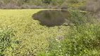 Foto 6 de Fazenda/Sítio com 3 Quartos à venda, 120m² em Serra da Cachoeira, Vertentes