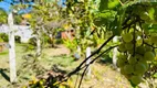 Foto 16 de Fazenda/Sítio com 3 Quartos à venda, 1300m² em Zona Rural, Pinhalzinho