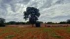 Foto 22 de Fazenda/Sítio à venda, 19400m² em Vale do Sol, Uberaba