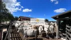 Foto 2 de Fazenda/Sítio à venda, 1000m² em Fonte Limpa, Araruama