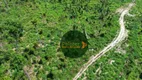 Foto 11 de Lote/Terreno à venda, 2300000m² em Zona Rural, Nova Bandeirantes