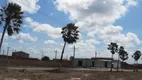 Foto 8 de Lote/Terreno à venda, 150m² em Jacarecoara, Cascavel