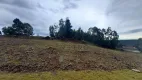 Foto 10 de Lote/Terreno à venda, 370m² em , Canela