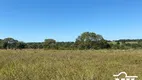 Foto 9 de Fazenda/Sítio à venda em Zona Rural, São Miguel do Araguaia