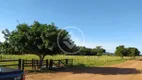 Foto 9 de Fazenda/Sítio com 4 Quartos à venda, 4100m² em , Porto Estrela