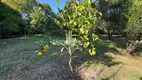 Foto 25 de Fazenda/Sítio com 3 Quartos à venda, 3700m² em Agro Brasil, Cachoeiras de Macacu