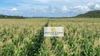 Foto 15 de Fazenda/Sítio com 10 Quartos à venda, 900m² em Centro, Tasso Fragoso