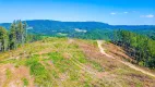 Foto 5 de Fazenda/Sítio com 1 Quarto à venda, 10m² em Centro, Campo Largo