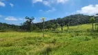 Foto 75 de Fazenda/Sítio com 5 Quartos à venda, 435600m² em Campo Alto, Tijucas do Sul