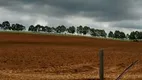 Foto 47 de Fazenda/Sítio à venda, 5000000m² em Centro, Cruzília