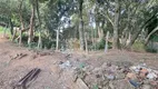 Foto 20 de Lote/Terreno à venda, 24200m² em Paineiras, Itupeva