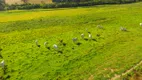 Foto 8 de Fazenda/Sítio à venda, 1157300m² em Centro, Campo do Tenente