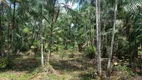 Foto 3 de Fazenda/Sítio com 2 Quartos à venda, 670000m² em Zona Rural, Moju