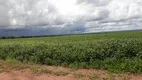 Foto 8 de Fazenda/Sítio com 4 Quartos à venda, 125m² em Zona Rural, Nova Xavantina