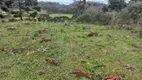 Foto 3 de Lote/Terreno à venda, 40000m² em Zona Rural, Urubici