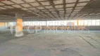 Foto 6 de Sala Comercial para alugar, 890m² em São João, Porto Alegre