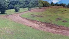 Foto 9 de Fazenda/Sítio com 1 Quarto à venda, 50m² em Pacotuba, Almirante Tamandaré