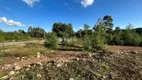 Foto 10 de Lote/Terreno à venda, 437m² em Alfândega, Garibaldi