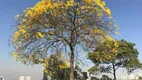 Foto 49 de Casa de Condomínio com 4 Quartos à venda, 1000m² em Tamboré, Barueri