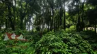 Foto 14 de Fazenda/Sítio com 1 Quarto à venda, 5000m² em Campestre da Faxina, São José dos Pinhais