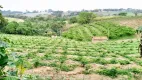 Foto 3 de Fazenda/Sítio com 4 Quartos à venda, 100m² em Macuco, Valinhos