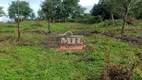 Foto 9 de Fazenda/Sítio à venda, 611m² em Zona Rural, Barro Alto