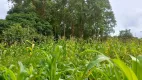 Foto 21 de Fazenda/Sítio à venda, 60000m² em Ponte Alta Norte, Brasília