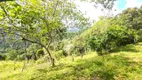 Foto 11 de Fazenda/Sítio com 3 Quartos à venda, 30000m² em Pedra Branca, Alfredo Wagner