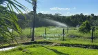 Foto 18 de Fazenda/Sítio com 3 Quartos à venda, 30000m² em Zona Rural, Bonfinópolis