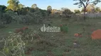 Foto 6 de Fazenda/Sítio à venda, 5000m² em Panorama, Uberlândia
