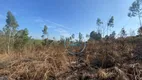 Foto 5 de Lote/Terreno à venda, 5000m² em CHACARAS CAMARGO II, São Pedro