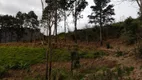 Foto 4 de Lote/Terreno à venda, 9m² em Itaipava, Petrópolis