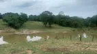 Foto 10 de Fazenda/Sítio com 3 Quartos à venda, 532400m² em Zona Rural, Israelândia