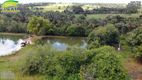 Foto 45 de Fazenda/Sítio com 3 Quartos à venda, 774400m² em Zona Rural, Bela Vista de Goiás